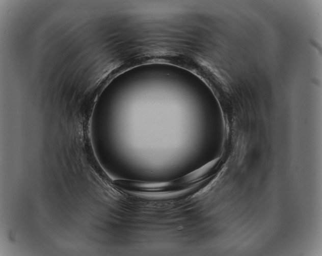 X0000091451305200708231246