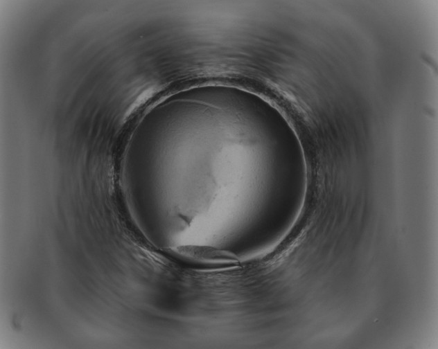 X0000091451306200708231246