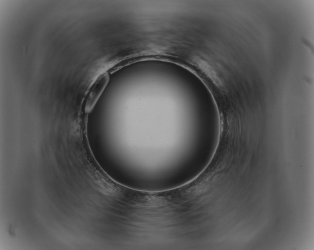 X0000091451308200708231246