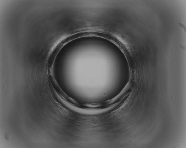 X0000091451310200708231246