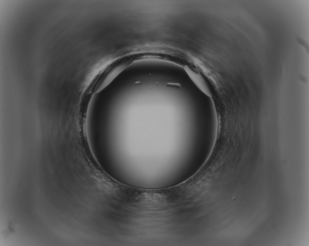 X0000091451312200708231246