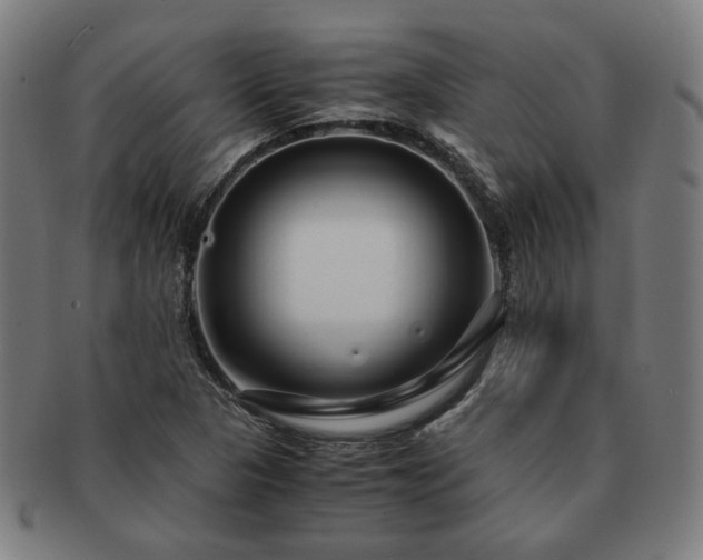 X0000091451313200708231246