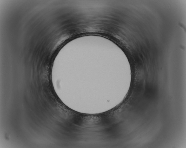 X0000091451314200708231246