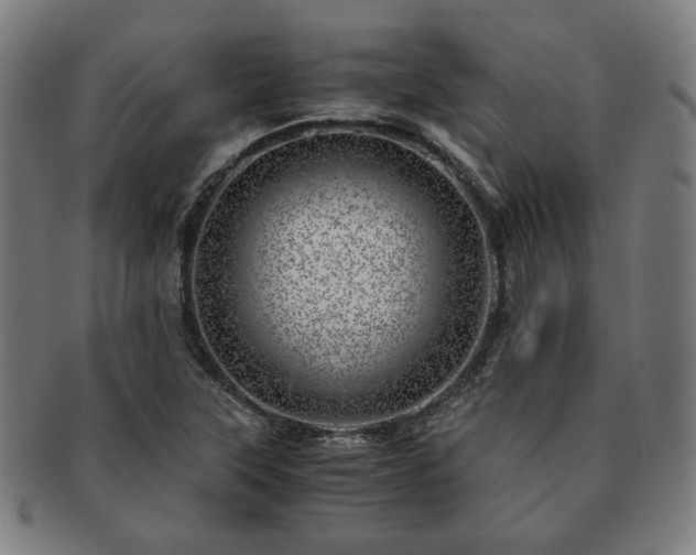 X0000091451315200708231246