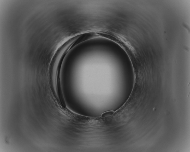 X0000091451316200708231246