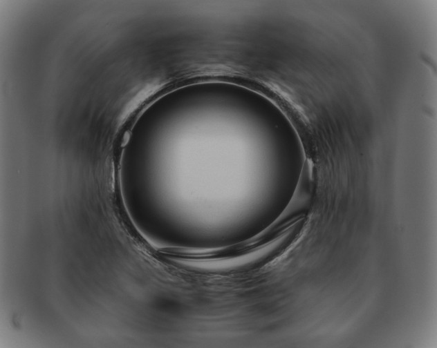 X0000091451317200708231246