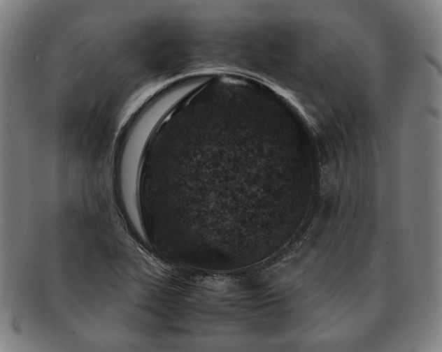 X0000091451319200708231246