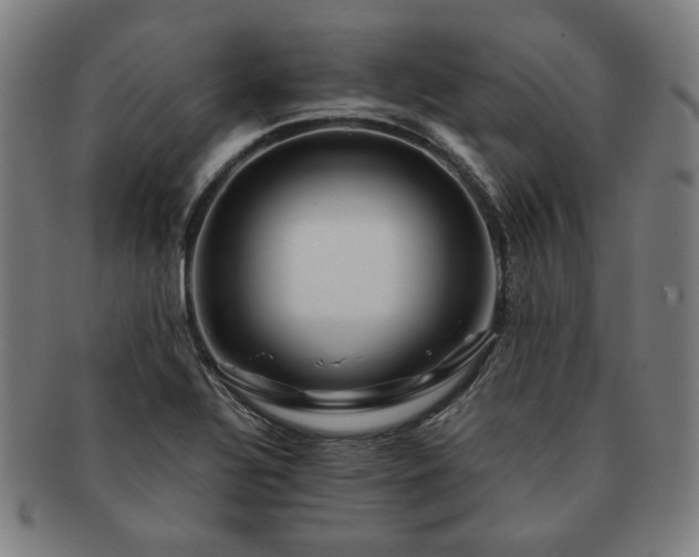 X0000091451320200708231246
