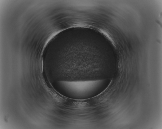 X0000091451323200708231246