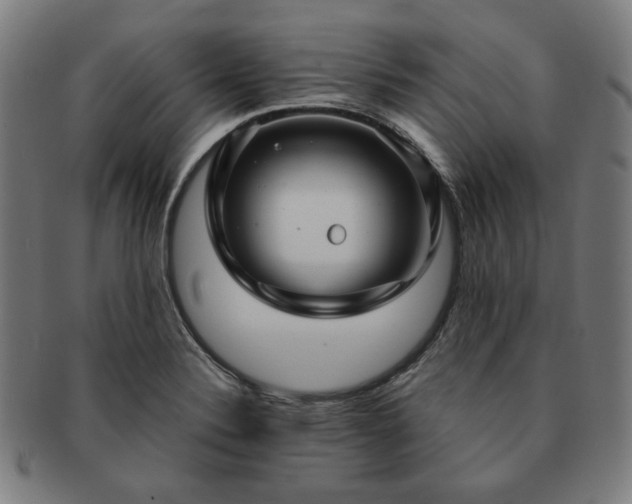 X0000091451324200708231246