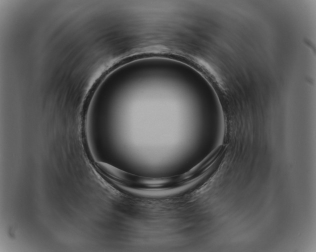 X0000091451326200708231246