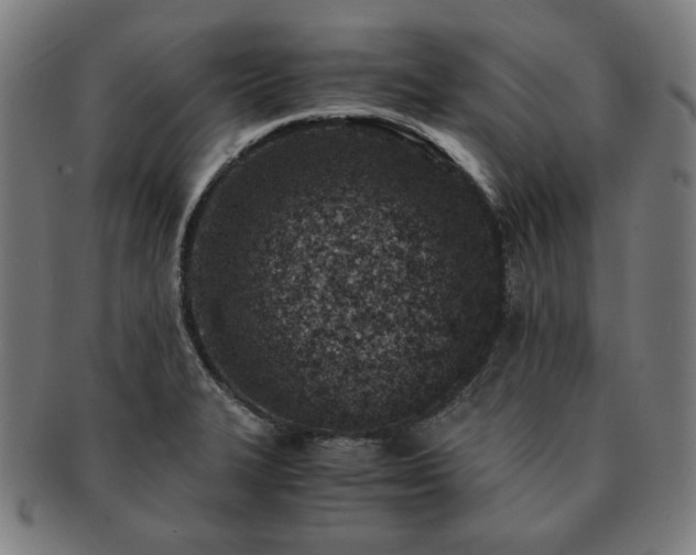 X0000091451327200708231247