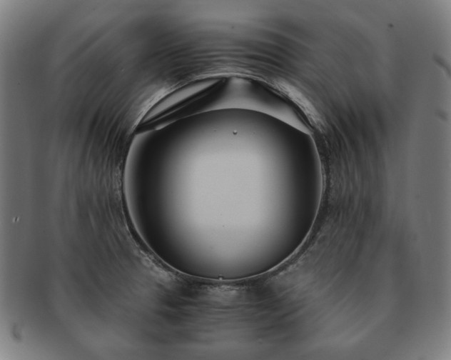 X0000091451329200708231247