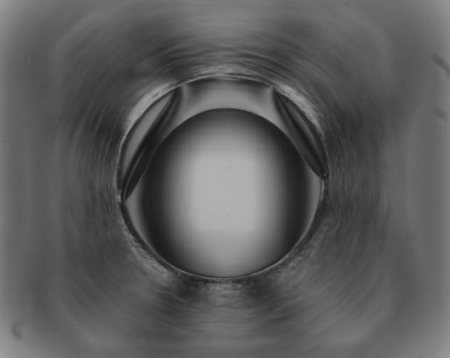 X0000091451330200708231247
