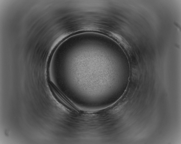 X0000091451331200708231247