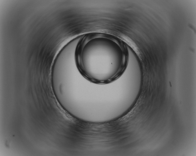 X0000091451332200708231247