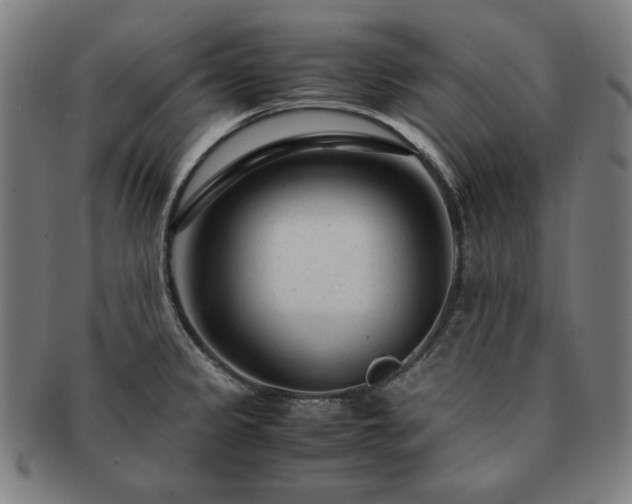 X0000091451333200708231247