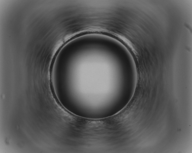 X0000091451335200708231247