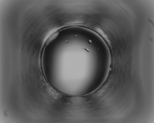 X0000091451336200708231247
