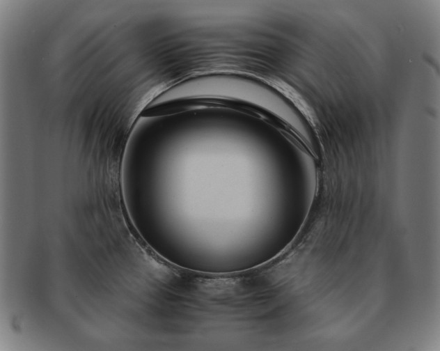 X0000091451337200708231247