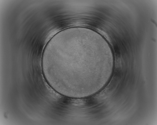 X0000091451338200708231247