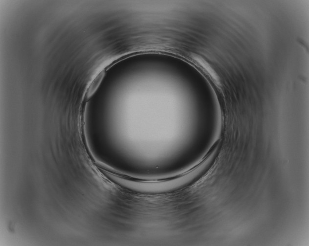 X0000091451340200708231247