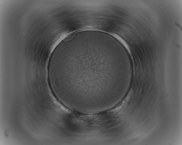 X0000091451341200708231247