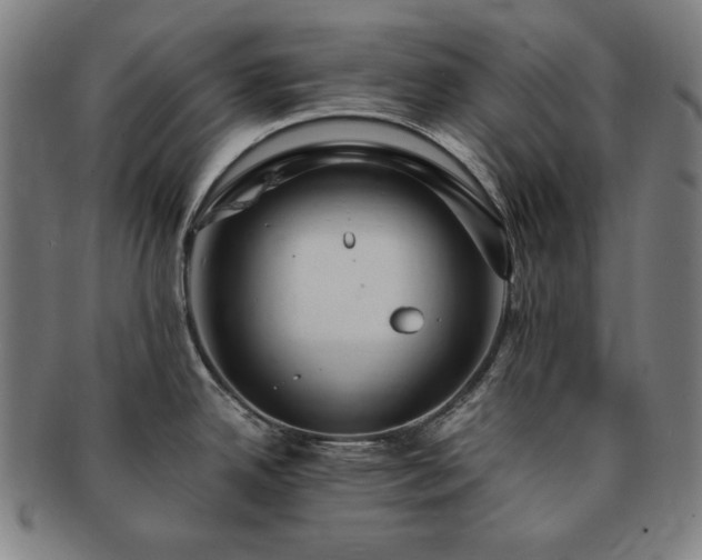 X0000091451342200708231247