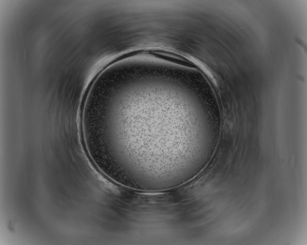 X0000091451343200708231247