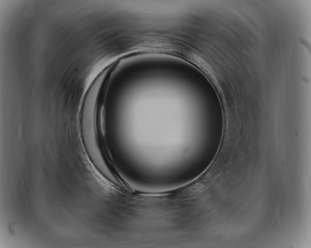 X0000091451344200708231247