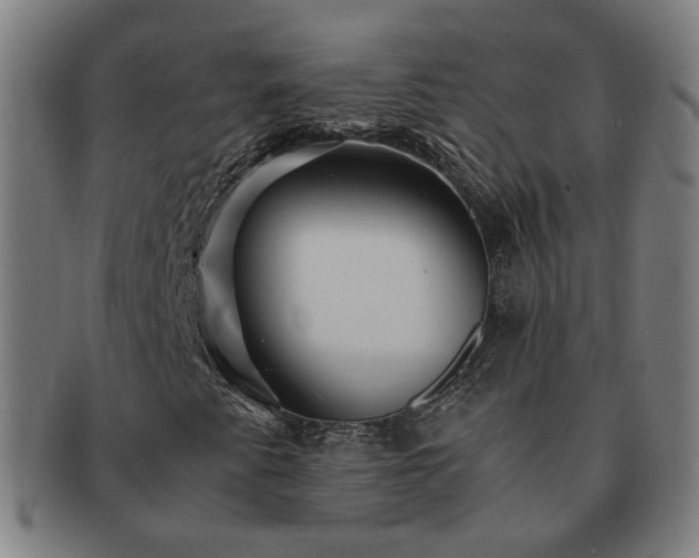 X0000091451345200708231246