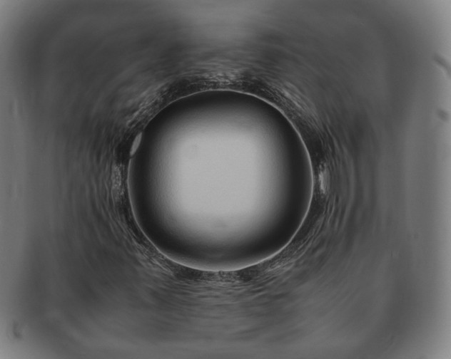X0000091451347200708231246