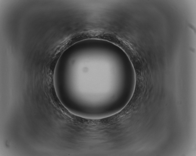X0000091451349200708231246