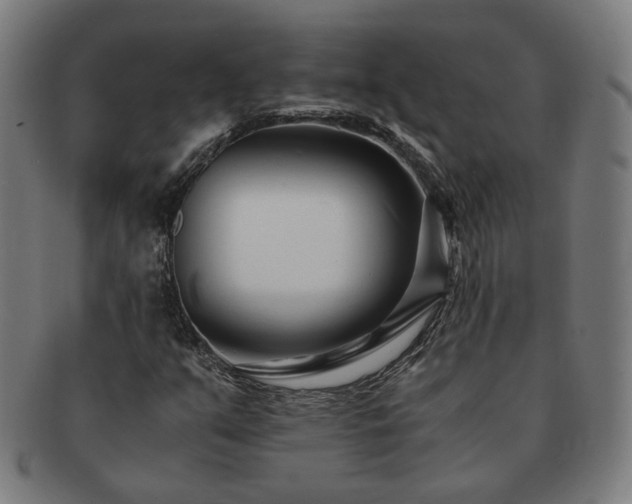 X0000091451351200708231246