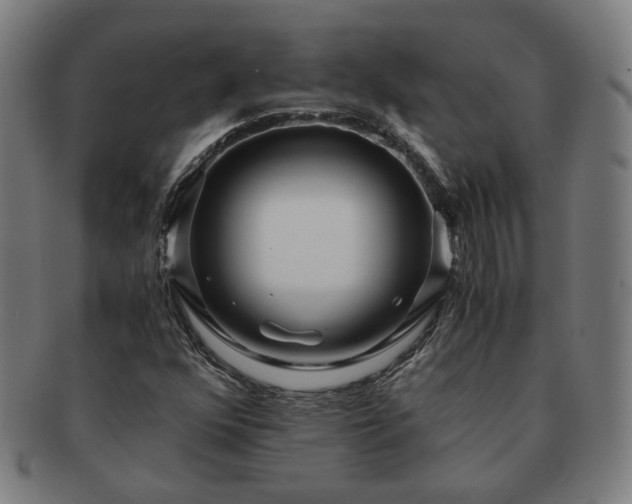 X0000091451352200708231246