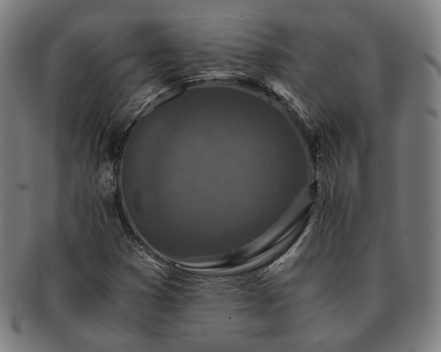 X0000091451353200708231246