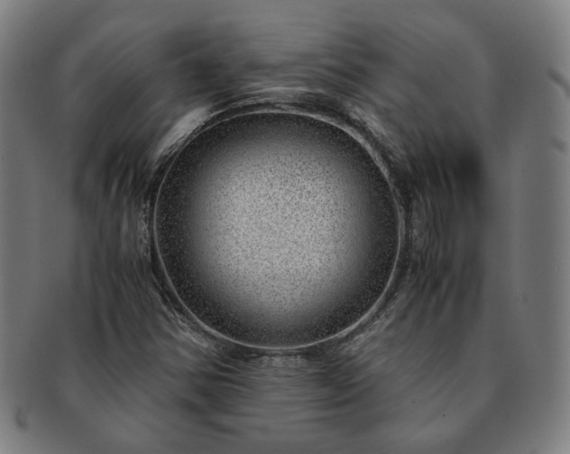X0000091451354200708231246