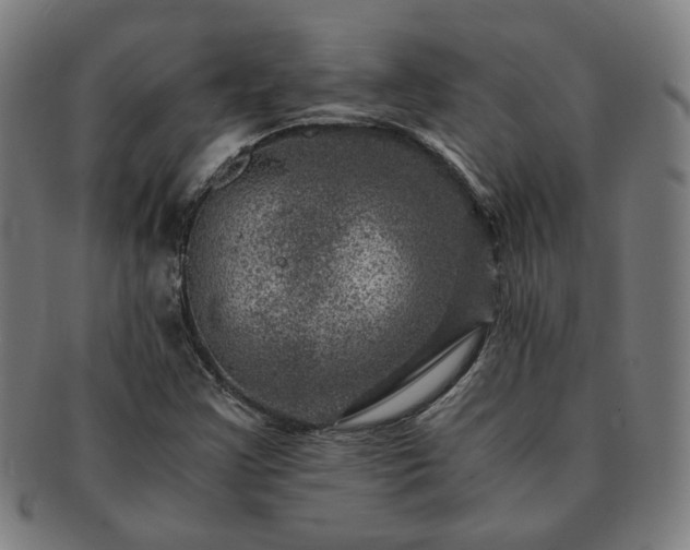 X0000091451355200708231246