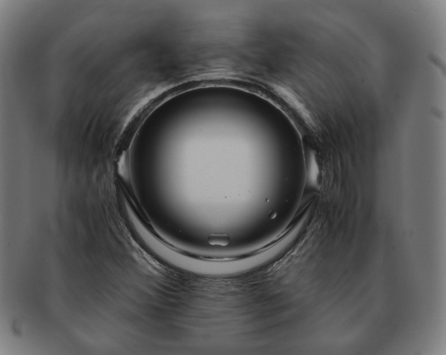 X0000091451356200708231246
