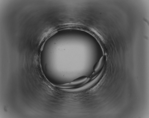 X0000091451357200708231246