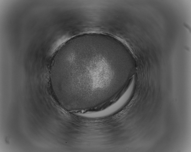 X0000091451359200708231246