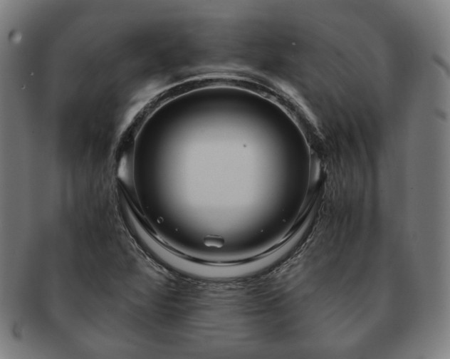 X0000091451360200708231246