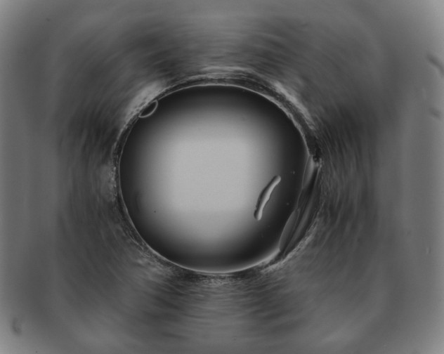 X0000091451362200708231246