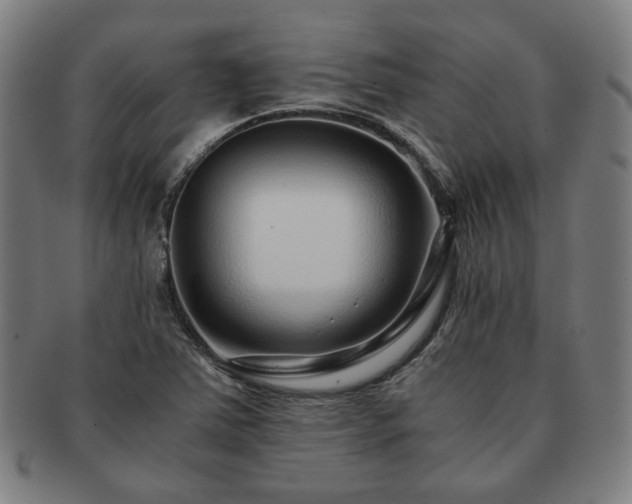 X0000091451363200708231246