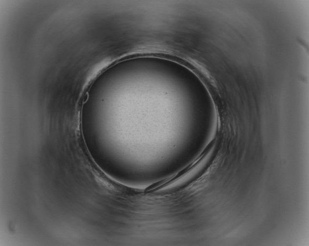 X0000091451366200708231246