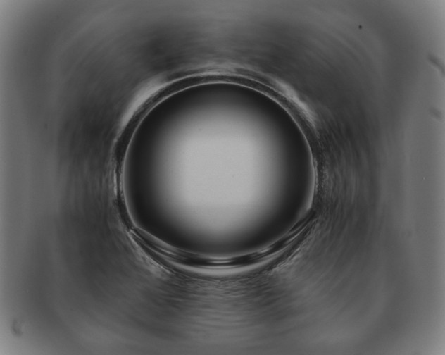X0000091451368200708231246