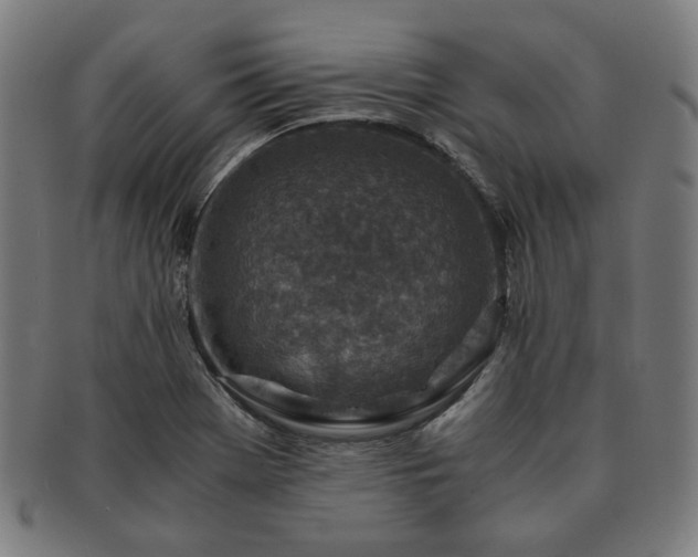 X0000091451369200708231246