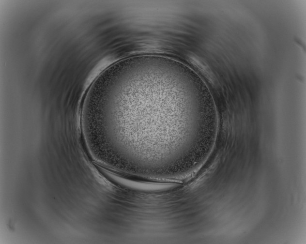 X0000091451370200708231246
