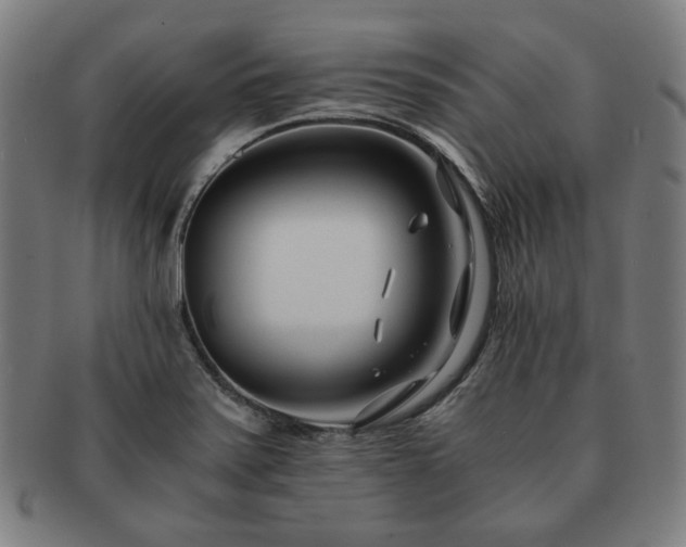 X0000091451371200708231246