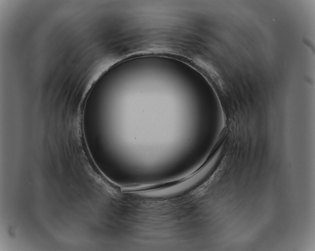 X0000091451374200708231246